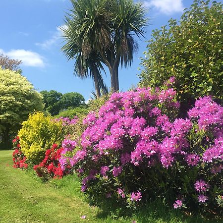 Stay On The Grounds Of This Beautiful Manor House Wimborne Minster Luaran gambar