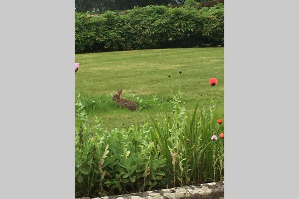 Stay On The Grounds Of This Beautiful Manor House Wimborne Minster Luaran gambar