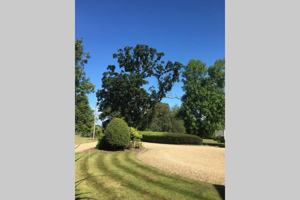 Stay On The Grounds Of This Beautiful Manor House Wimborne Minster Luaran gambar
