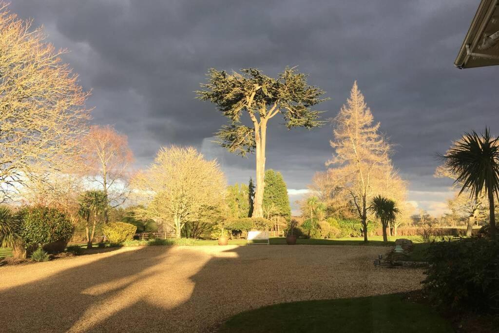 Stay On The Grounds Of This Beautiful Manor House Wimborne Minster Luaran gambar